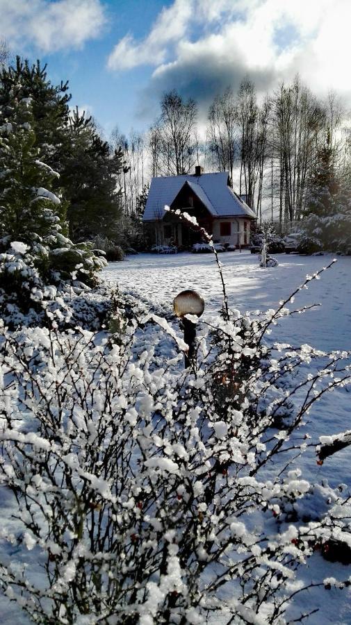 Siedlisko Gruszki Puszcza Bialowieska Narewka Extérieur photo