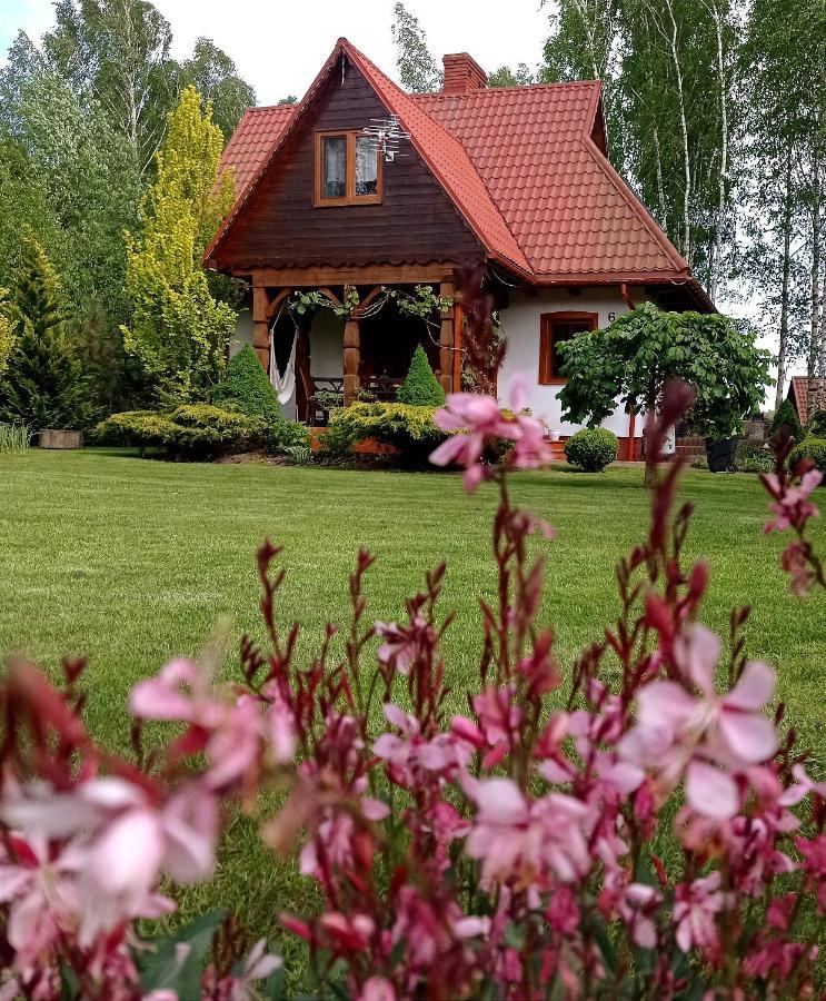 Siedlisko Gruszki Puszcza Bialowieska Narewka Extérieur photo