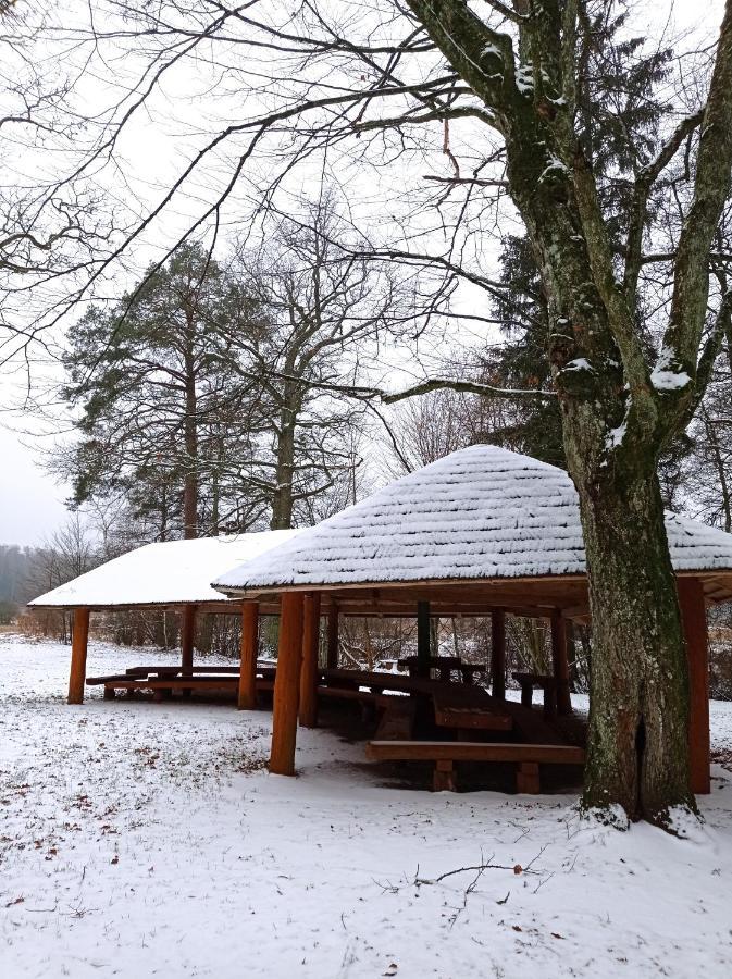 Siedlisko Gruszki Puszcza Bialowieska Narewka Extérieur photo