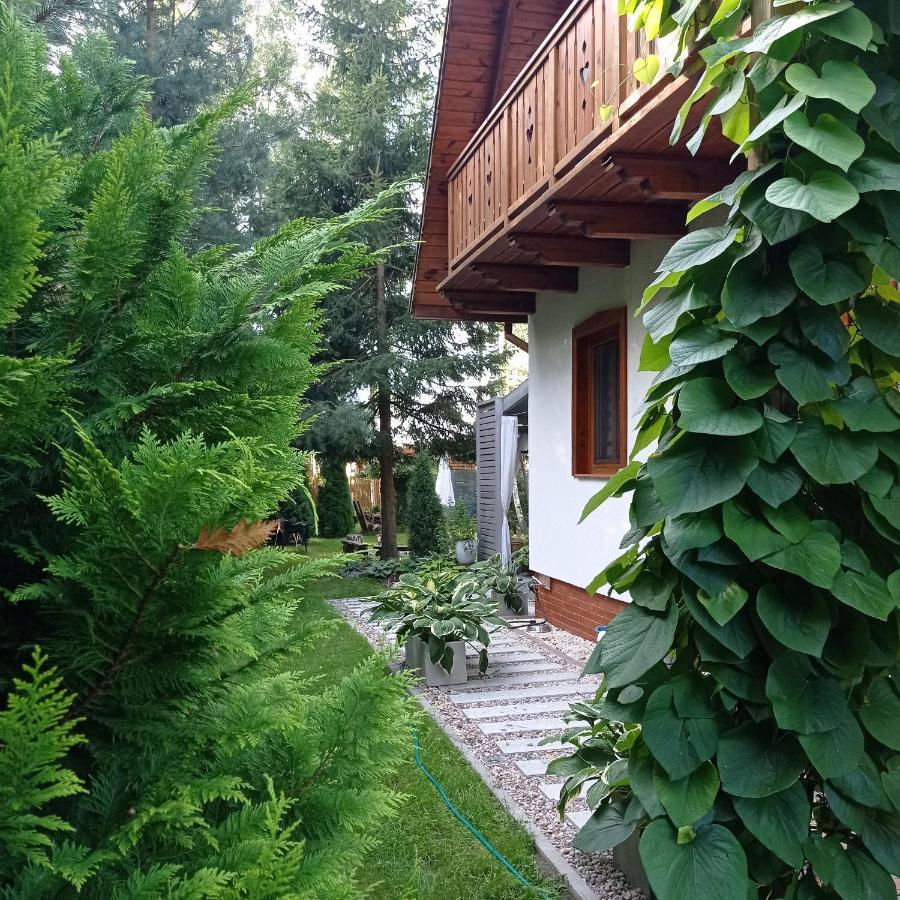 Siedlisko Gruszki Puszcza Bialowieska Narewka Extérieur photo