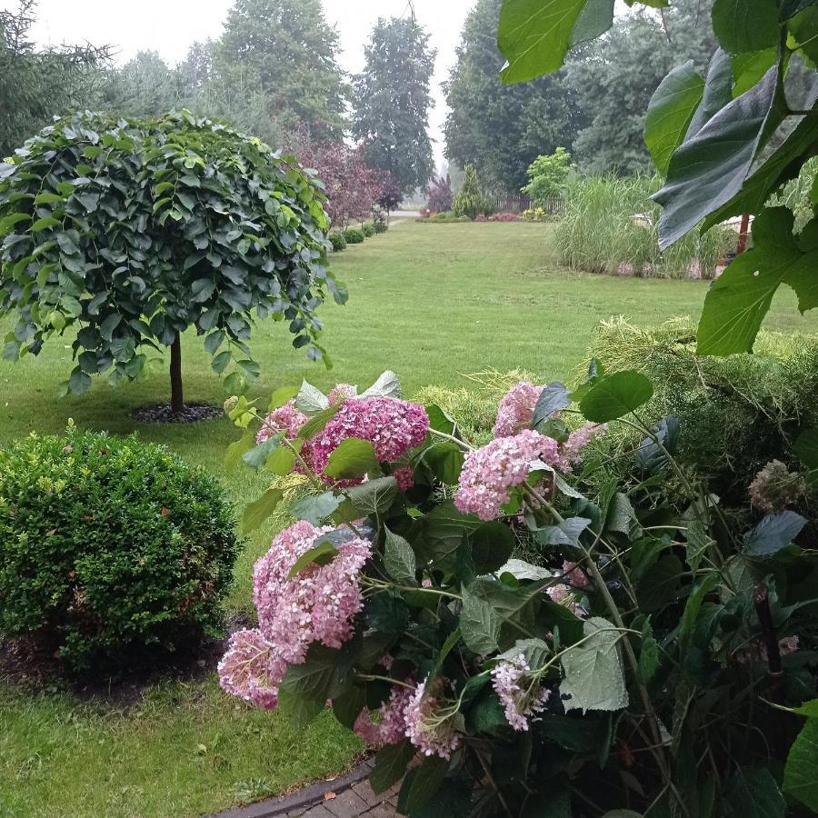 Siedlisko Gruszki Puszcza Bialowieska Narewka Extérieur photo
