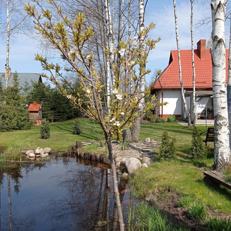 Siedlisko Gruszki Puszcza Bialowieska Narewka Extérieur photo